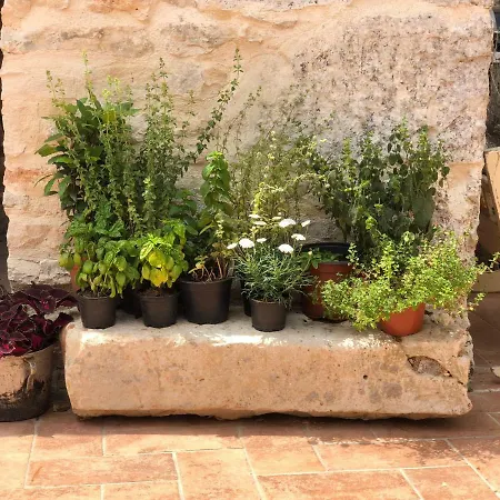 Folirantica * Svetvincenat